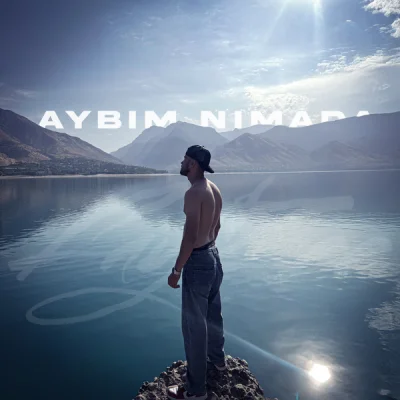 FayZee - Aybim nimada